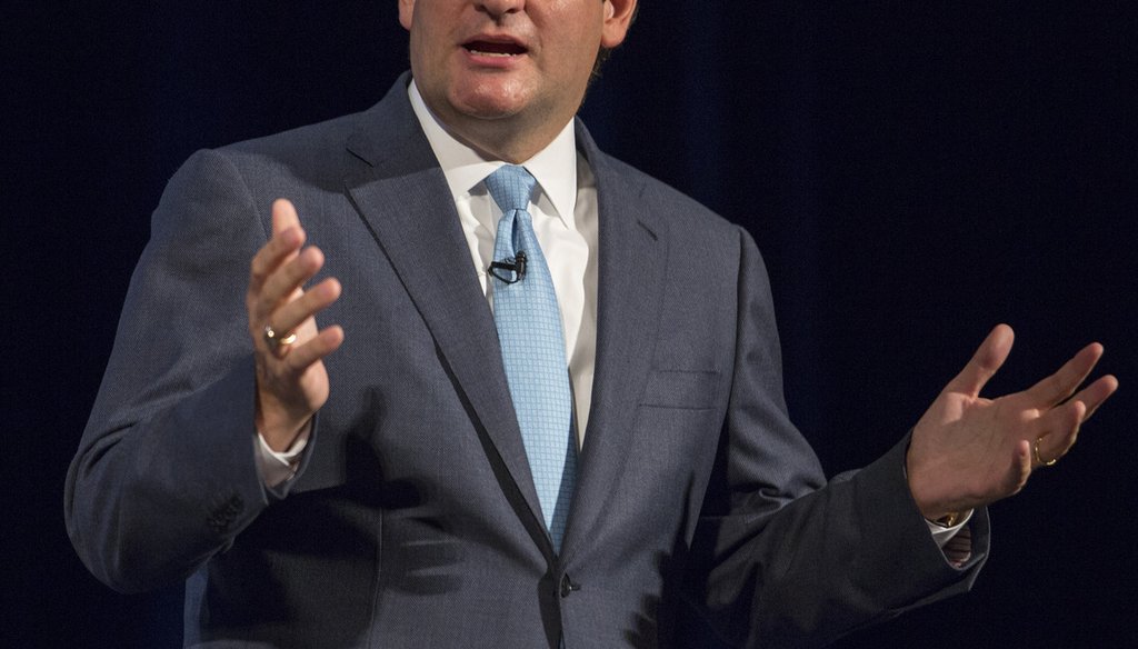 Sen. Ted Cruz, R-Texas, speaks during the Family Leadership Summit in Ames, Iowa, on Aug. 10, 2013.
