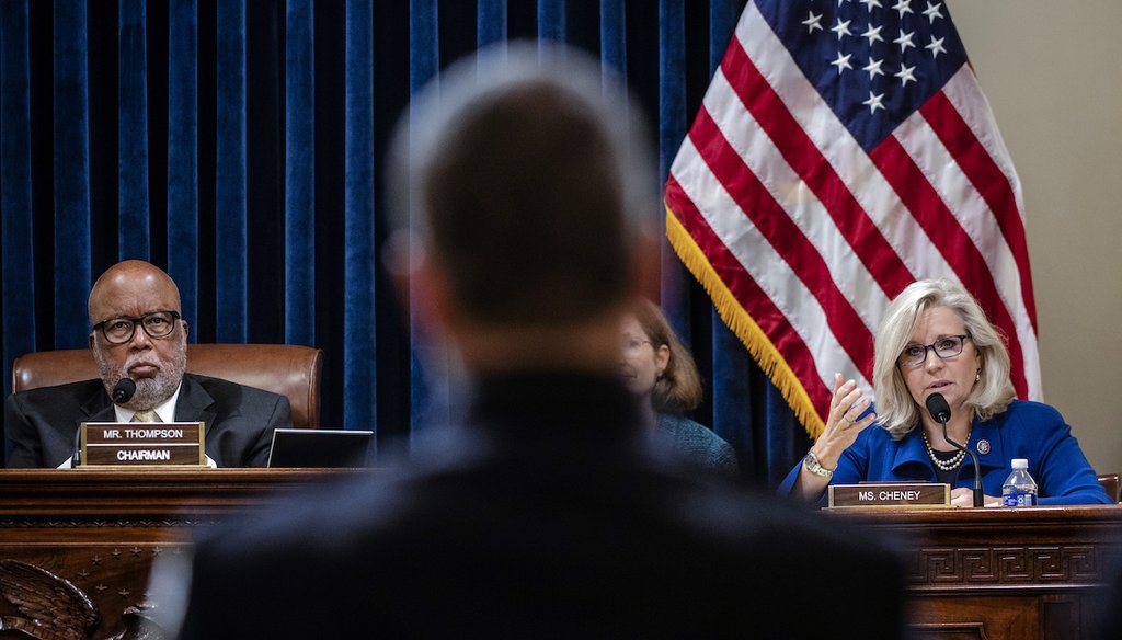 Committee Chair Rep. Bennie Thompson (D-MS), left, listens as Rep. Liz Cheney (R-Wyo.), right, questions police officer Michael Fanone. (Washington Post via AP, Pool)
