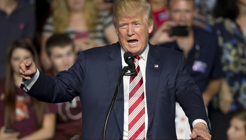 Republican presidential candidate Donald Trump speaks during a rally in Roanoke, Va., Saturday, Sept. 24, 2016. (AP Photo/Steve Helber)
