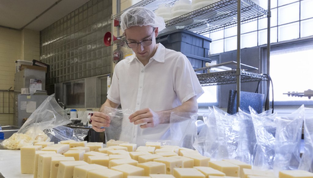 Student worker and food engineering major Tyler Rateike bags half pound blocks of baby Swiss cheese March 5, 2019 at Babcock Hall at UW-Madison in Madison, Wis. Gov. Tony Evers first work experience was working in cheese factories decades ago in Plymouth.