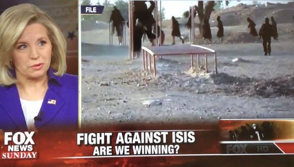 Liz Cheney on "Fox News Sunday" March 22, 2015.
