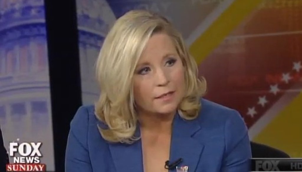 Liz Cheney appeared on "Fox News Sunday" on April 6, 2014.
