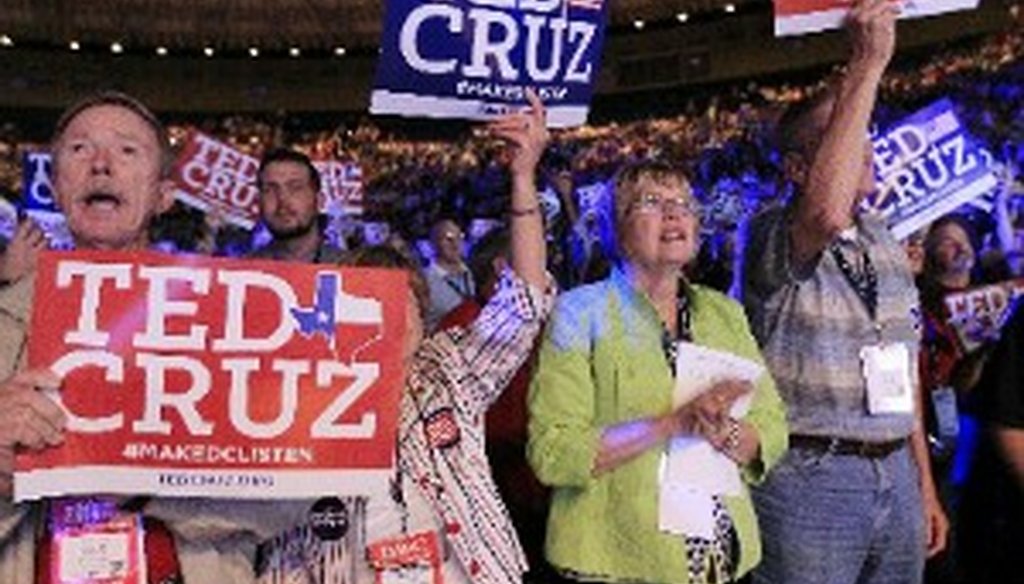 Delegates to the Republican Party of Texas, shown cheering here, adopted a platform calling homosexuality a choice.