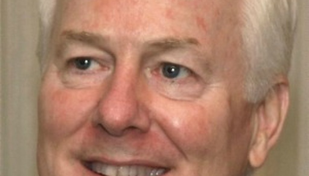 John Cornyn, among happy victors in the 2014 party primaries (file photo).