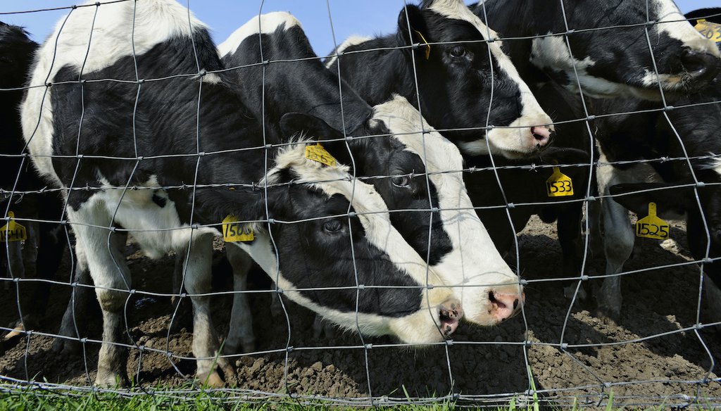 New York City banned providing whole milk in schools in 2006, and the federal government banned whole milk nationally — and therefore in all of New York state — in 2010. (AP)