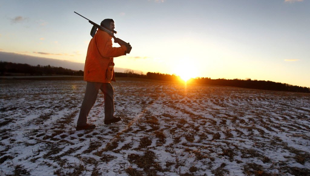 Jeff Peters crosses a frozen cornfield at sunrise on the way join his son in their deer stand on the opening day of the 2013 deer hunting season Nov. 23, 2013 near Shiocton, Wis. (AP Photo/Post-Crescent Media)