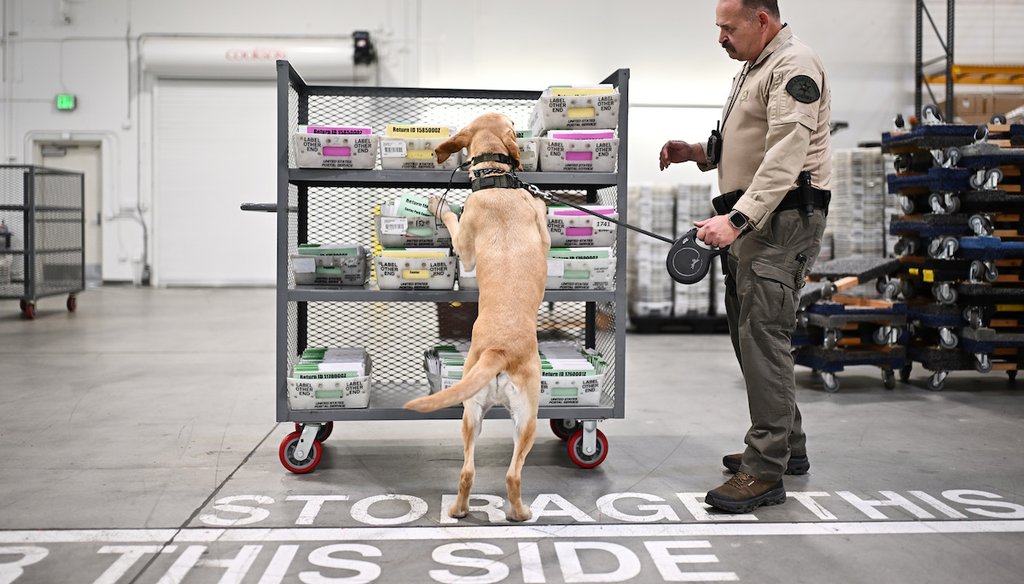 A Sheriff's Deputy and his dog inspect ballots at the L.A. County Ballot Processing Center during the California primary election on June 2, 2026, in City of Industry, Calif. (AP)