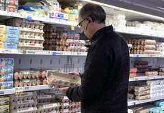 Egg shortages, high prices fuel false claims online. Here’s what’s really going on.
