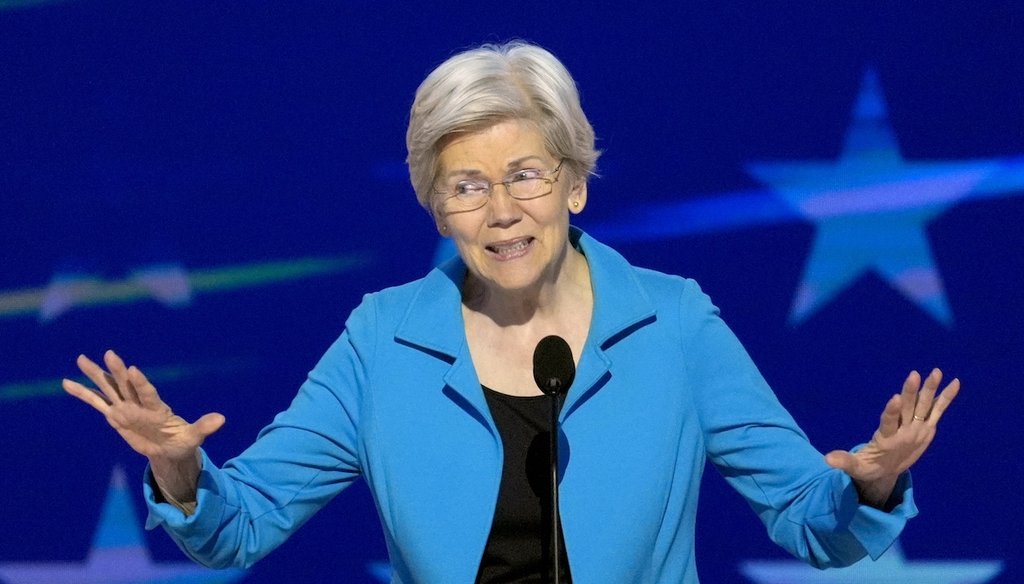 Sen. Elizabeth Warren, D-Mass., speaks during the Democratic National Convention on Aug. 22, 2024, in Chicago. (AP)