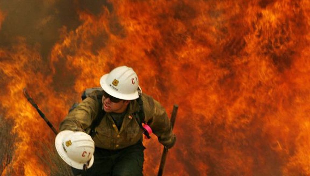 Fox's Dana Perino blames environmentalists for mega-wildfires. (AP)