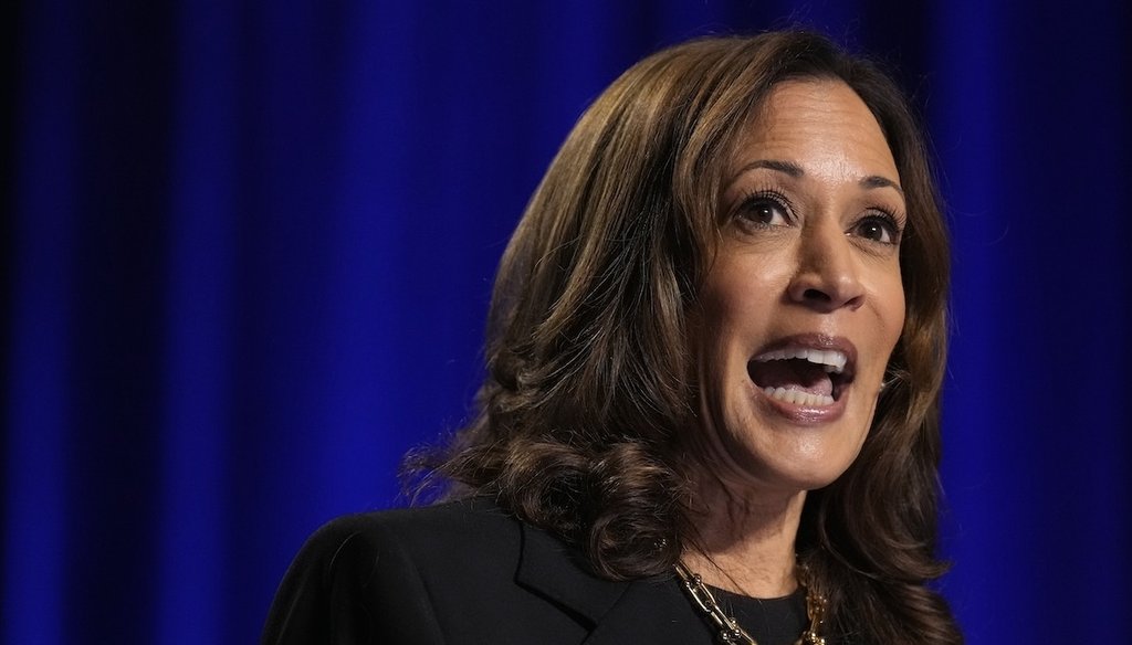 Vice President Kamala Harris speaks Sept. 25, 2024, at a campaign event at Carnegie Mellon University in Pittsburgh. (AP)