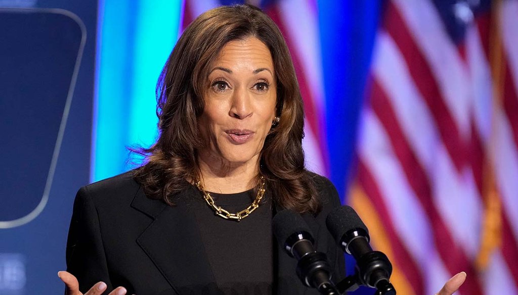 Democratic presidential nominee Vice President Kamala Harris speaks Sept. 25, 2024, at a campaign event at Carnegie Mellon University in Pittsburgh. (AP)