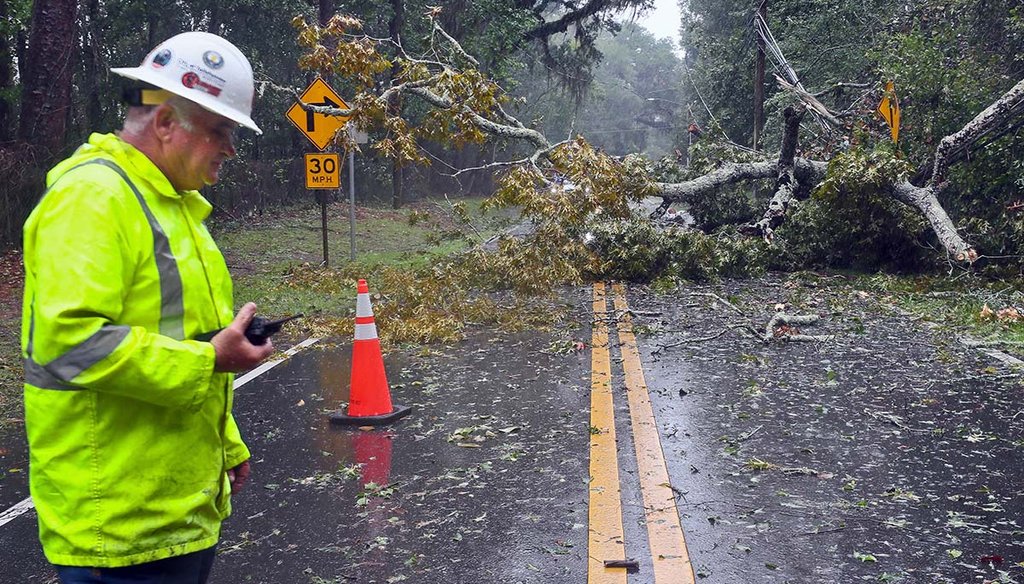 A city of Tallahassee electrical worker assesses damage to power lines Aug. 30, 2023, after a tree fell in Tallahassee, Fla., as Hurricane Idalia made landfall. (AP)