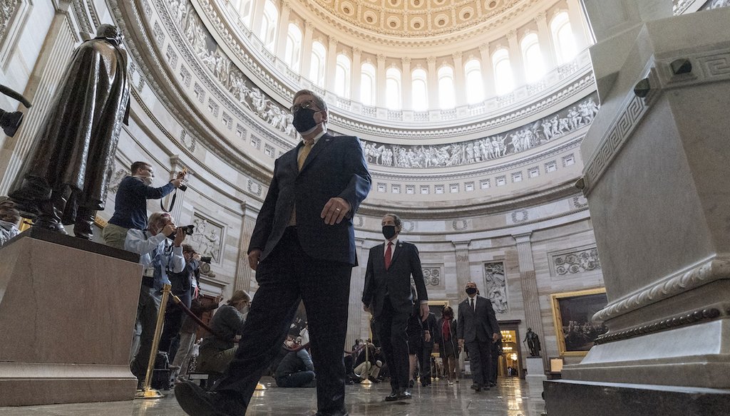 The House impeachment managers walk through the Rotunda to the Senate for the second impeachment trial of former President Donald Trump. (AP Photo/Alex Brandon)