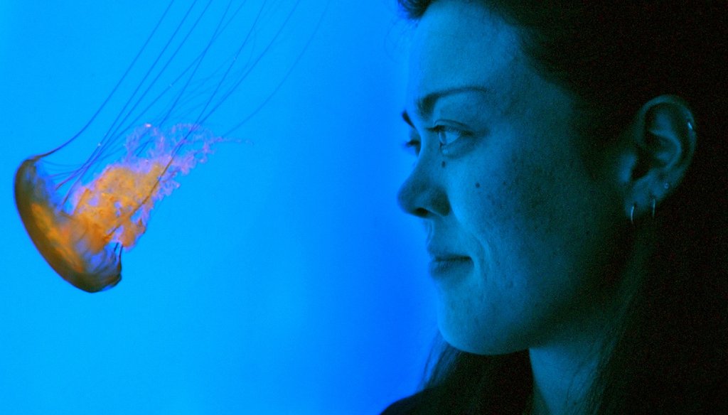 This Georgia Aquarium senior biologist is just bathed in blue light from the exhibit. She is not a jellyfish hybrid who glows on her own. Photo by Charlotte B. Teagle / AJC
