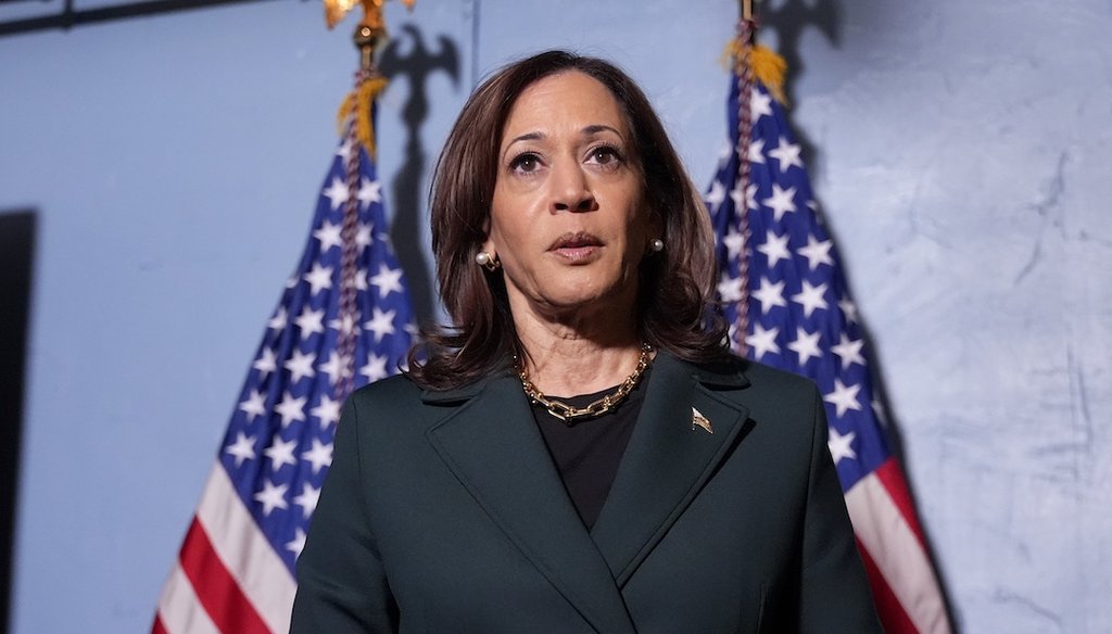 Vice President Kamala Harris, the Democratic presidential nominee, soeaks with reporters, Oct. 21, 2024, before a town hall at the Royal Oak Theatre in Royal Oak, Mich. (AP)