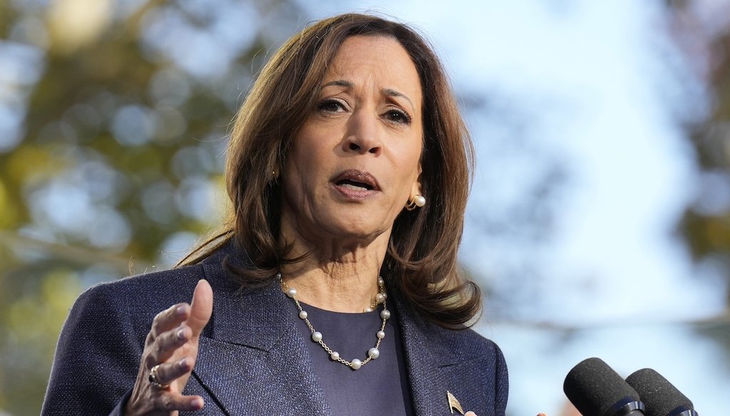 Vice President Kamala Harris, the Democratic presidential nominee, speaks Oct. 16, 2024 during a campaign event in Washington Crossing, Pa. (AP)