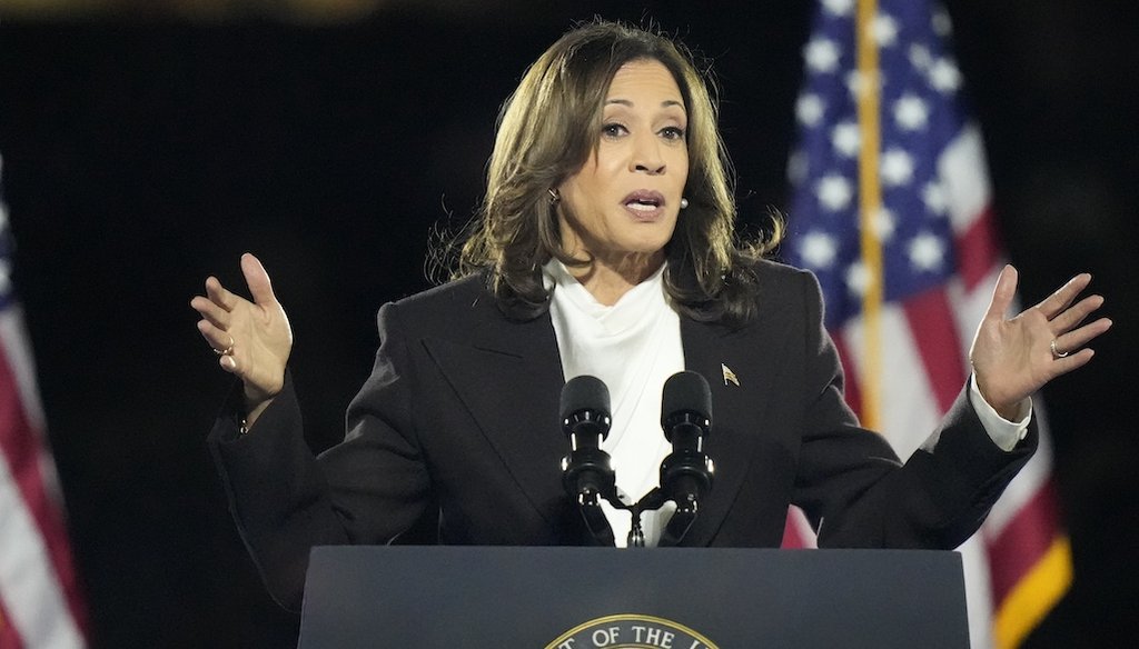 Democratic presidential nominee Vice President Kamala Harris delivers remarks during a campaign event at the Ellipse near the White House in Washington on Oct. 29, 2024. (AP)