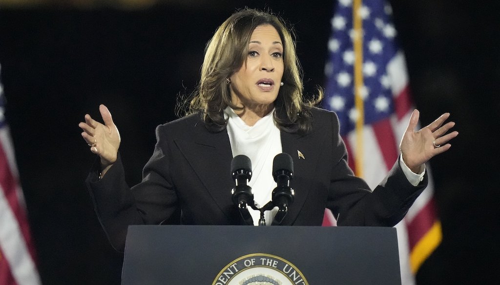 Vice President Kamala Harris, the Democratic presidential nominee, speaks Oct. 29, 2024, at the Ellipse near the White House. (AP)