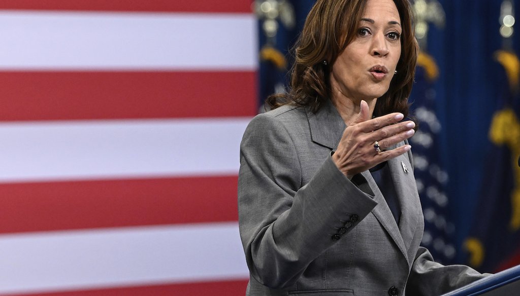 Vice President Kamala Harris delivers a speech in Raleigh, N.C., March 26, 2024. (AP)