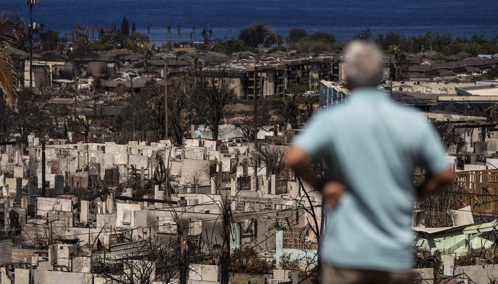A man views the aftermath of a wildfire in Lahaina, Hawaii, Aug. 19, 2023. (AP)