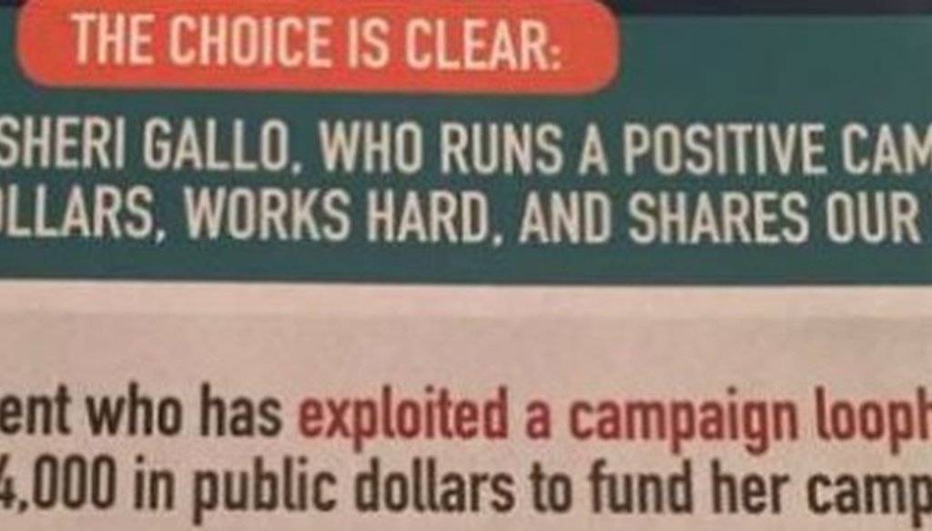Sheri Gallo said in this mailer that her runoff opponent, Alison Alter, exploited a loophole to draw campaign funds (spotted November 2016).