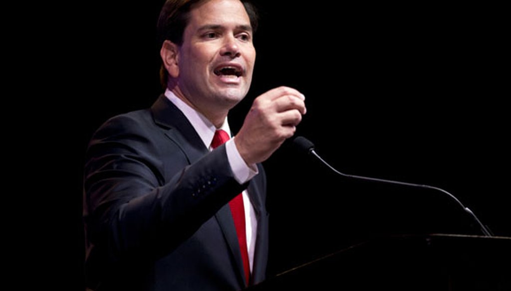 Sen. Marco Rubio speaks at the RedState Gathering in Atlanta on Aug. 7, 2015. (AP photo)