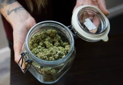 Pot 101: Facts you should know about California’s legal marijuana