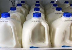 Fact-check: Does milk consumption increase breast cancer risk? More research is needed, experts say