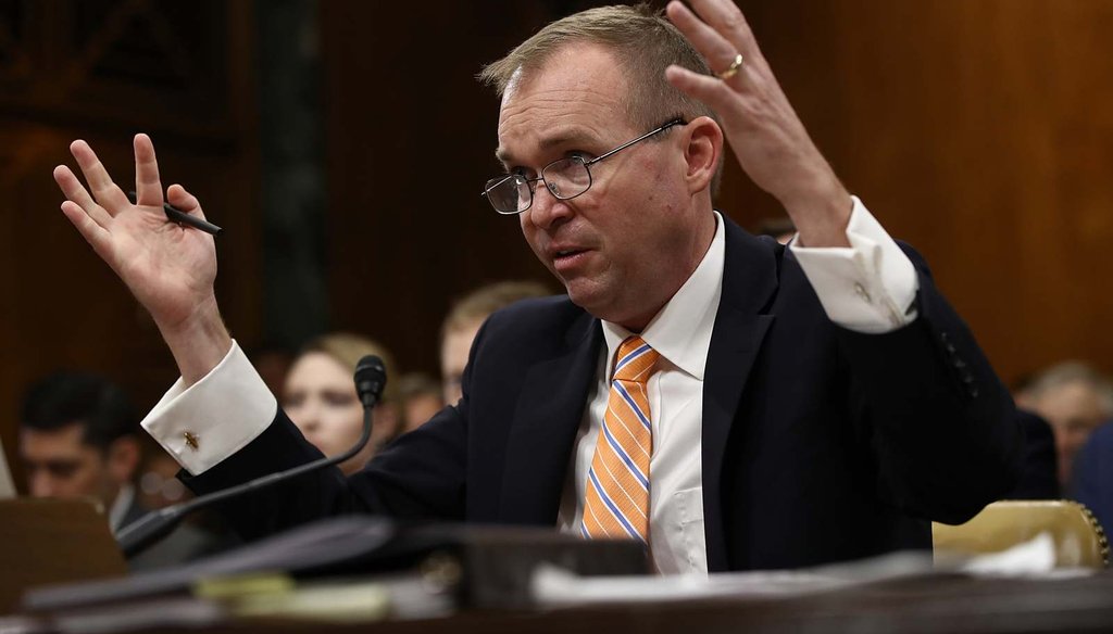Office of Management and Budget Director Mick Mulvaney testifies, regarding the White House budget proposal, before the Senate Budget Committee May 25, 2017. (Photo by Win McNamee/Getty Images)