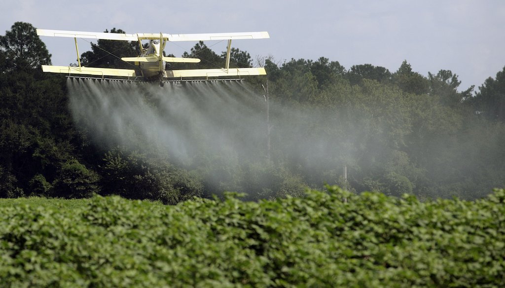 In this Aug. 4, 2009, file photo, a crop duster sprays a field of crops just outside Headland, Ala. (AP)