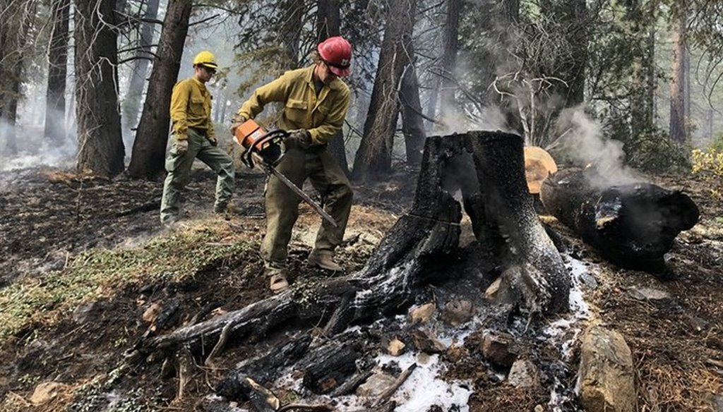 Crews work a prescribed burn earlier this year in the Tahoe National Forest, making sure hazard trees are cut down. It’s a preventative measure taken to ensure the public’s safety. Ezra David Romero / Capital Public Radio