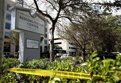 Hollywood Hills deaths after Irma prompt new regulations, but what will they do?
