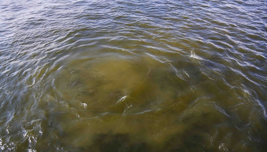 Partially-treated sewage discharges into Tampa Bay from a St. Petersburg city sewage plant on September 6, 2016. People were seen kayaking and sailing near the discharge point. (EVE EDELHEIT | Times)