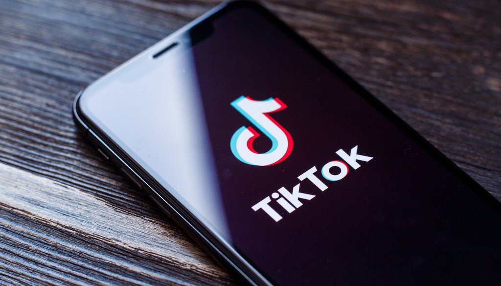 The TikTok application icon is seen on an Apple iPhone X screen close-up in May 2019. (Shutterstock)