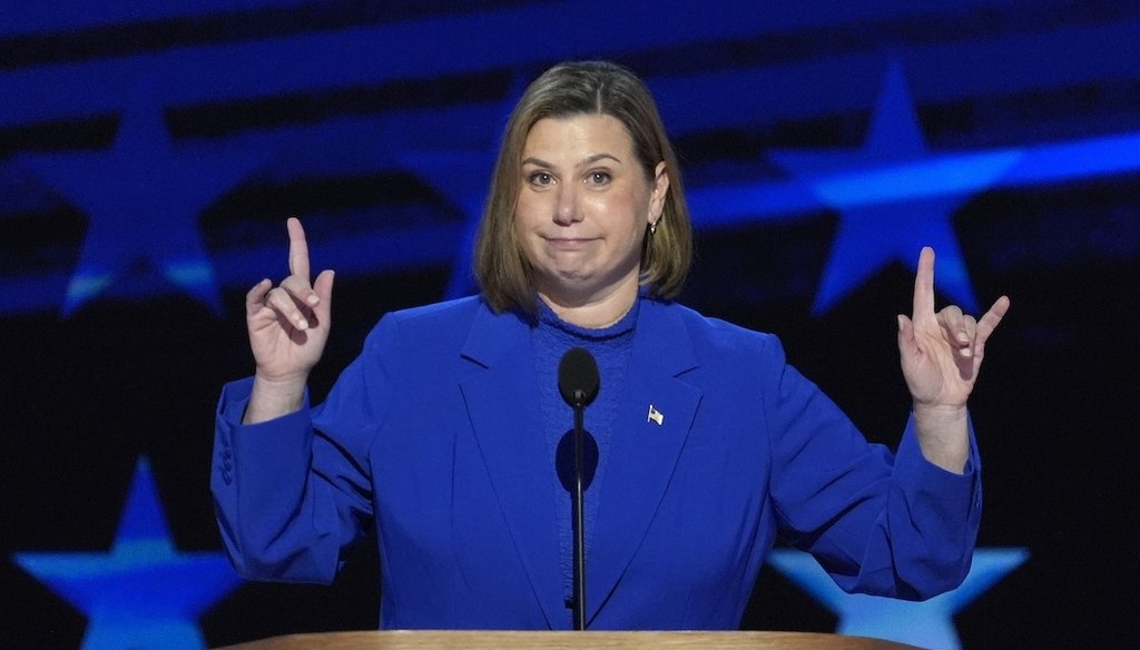 Rep. Elissa Slotkin, D-Mich., speaks during the Democratic National Convention Thursday, Aug. 22, 2024, in Chicago. (AP)