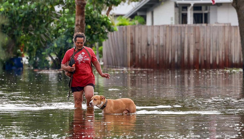 A woman walks with her dog through floodwaters from Hurricane Helene on Sept. 27, 2024, in St. Petersburg, Fla. (AP)