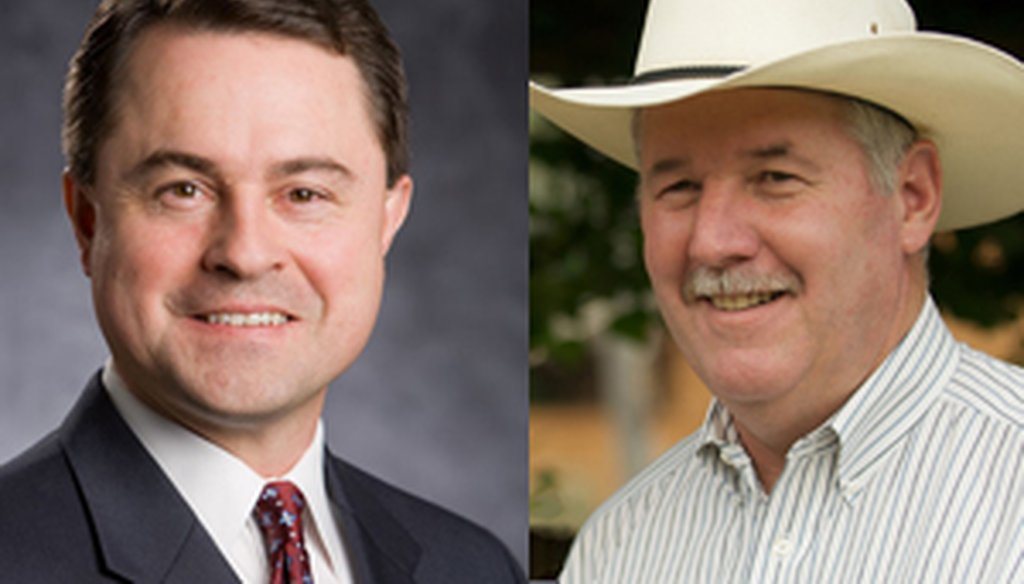 Todd Staples, left, and Hank Gilbert are running for agriculture commissioner.