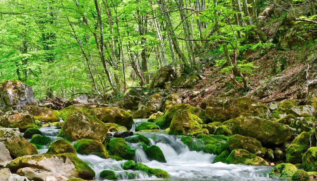The Clean Water Act regulates streams that flow into downstream waters. (Environmental Protection Agency)