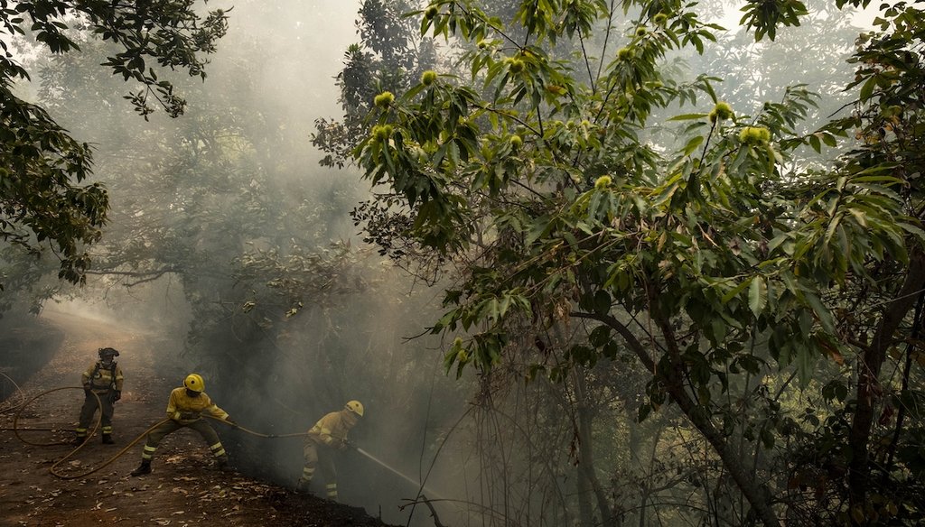 Emergency crews and firefighters worked Aug. 19, 2023, to extinguish the fire advancing through the forest in La Orotava in Tenerife, Canary Islands, Spain. (AP)