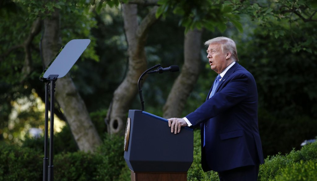 President Donald Trump speaks in the Rose Garden of the White House about nationwide protests against police brutality. (AP Photo/Patrick Semansky)