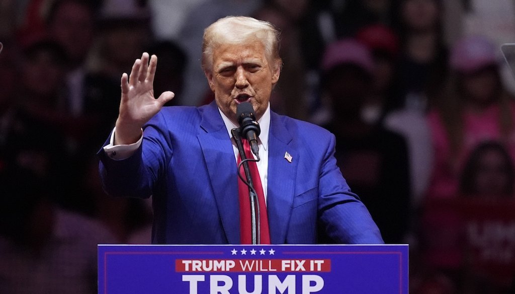 Former President Donald Trump, the Republican presidential nominee, speaks Oct. 27, 2024, at a campaign rally at Madison Square Garden in New York. (AP)