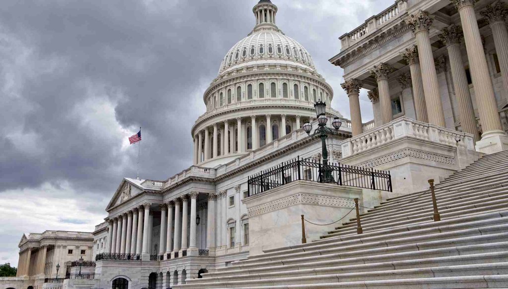 The U.S. Capitol in Washington. (AP file photo)