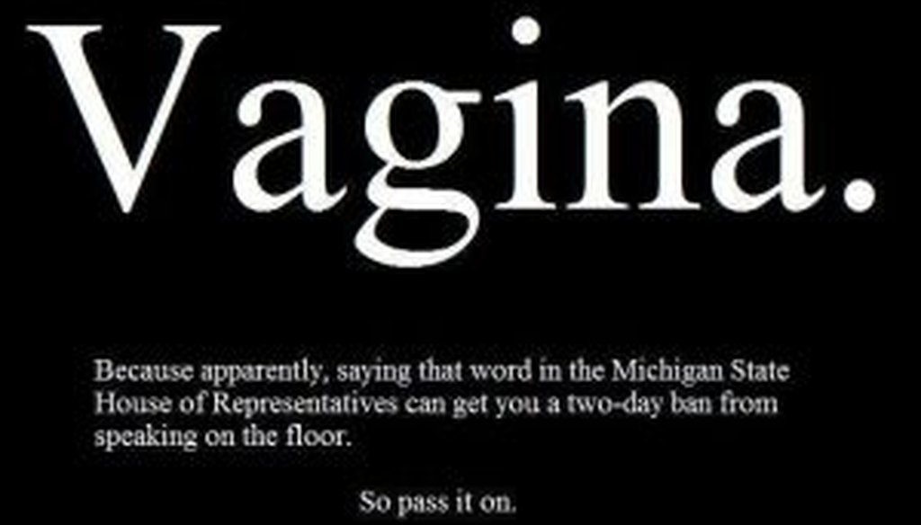 This Facebook post popped up in the wake of Lisa Brown's "vagina" remark in the Michigan state House.