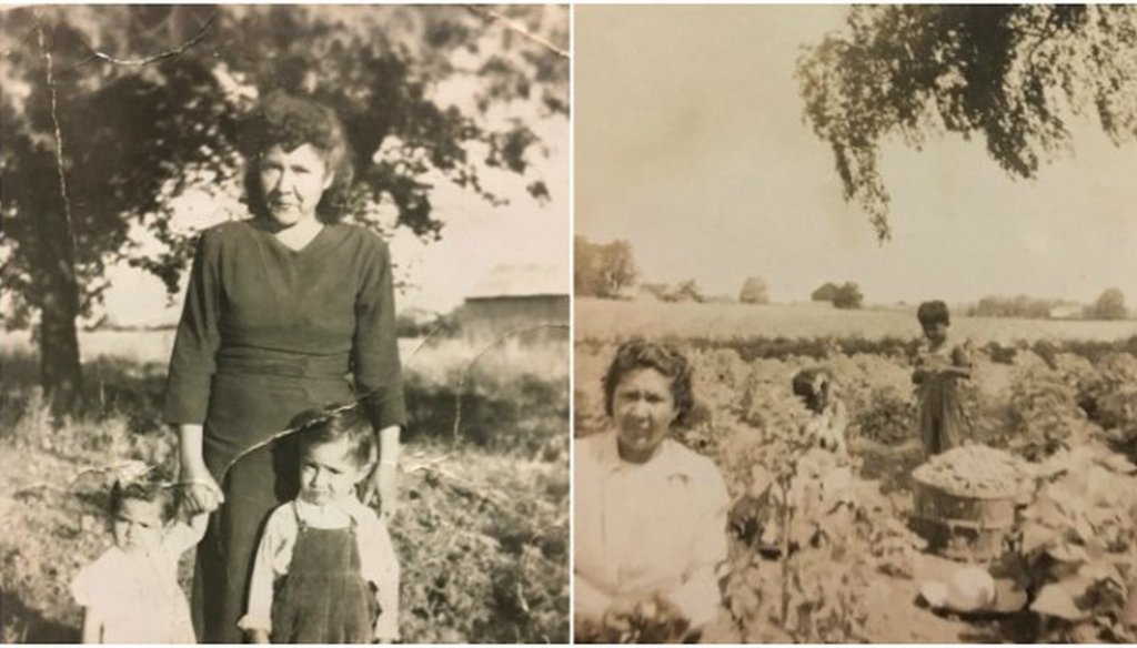 In response to our inquiry about Lupe Valdez's family roots, Kiefer Odell of her gubernatorial campaign emailed us these photos which he said were taken in a farm field where Valdez's family was working in 1950 or 1951 (received Dec. 7, 2017).