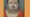 A Belgian website, nordpress.be, posted this photo, which is not a Texas prisoner who did not ask for a child for his final meal.