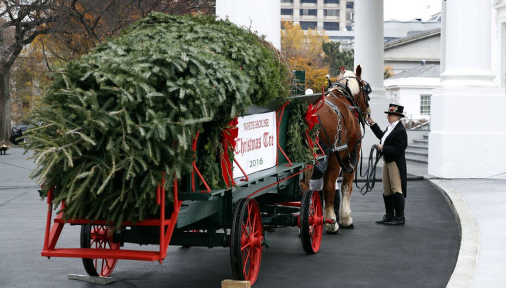 An attendant checks the horses after First Lady Michelle Obama received the Official White House Christmas Tree Nov. 25, 2016. (Alex Brandon/Associated Press)