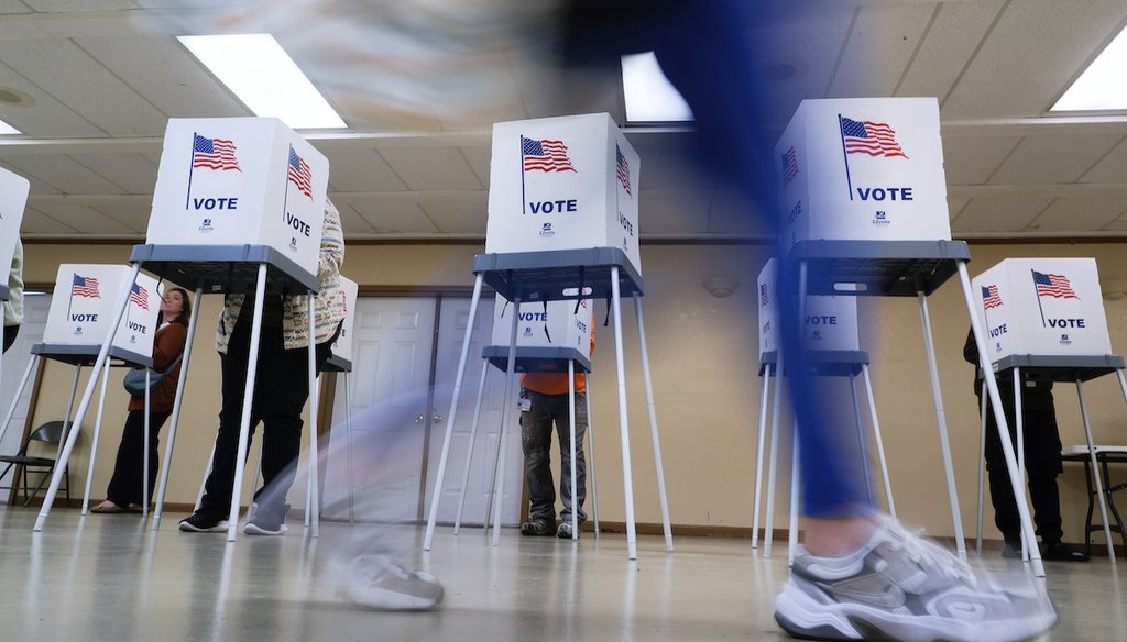 People vote Nov. 5, 2024, in Oak Creek, Wis. (AP)