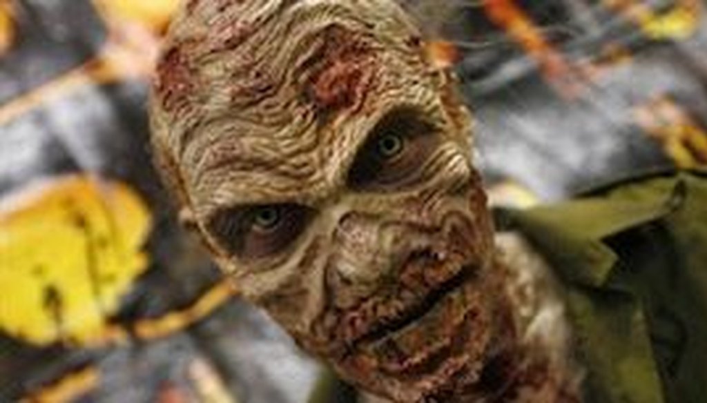 U.S. House of Representatives candidate Ed Lindsey says most voters prefers zombies like this one to members of Congress.