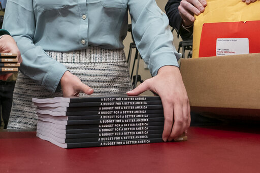 President Donald Trump's 2020 budget calls for billions more for his border wall, with steep cuts in domestic programs but increases for military spending. (AP Photo/J. Scott Applewhite)